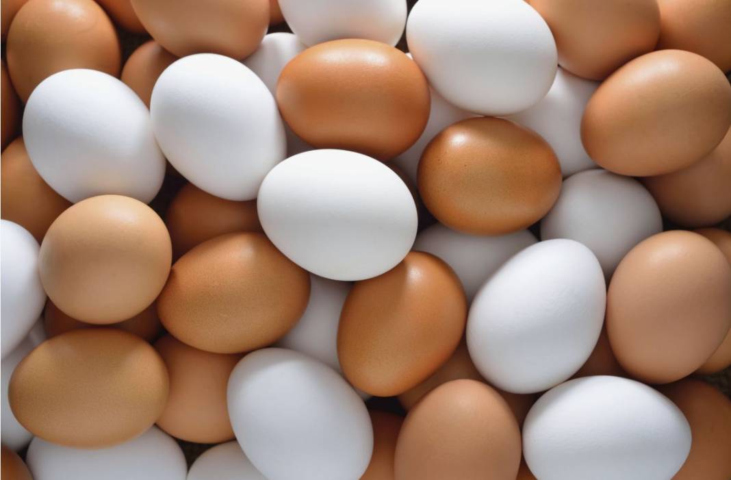 Beyaz mı kahverengi mi? Hangi yumurta daha sağlıklı? 17